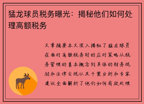 猛龙球员税务曝光：揭秘他们如何处理高额税务