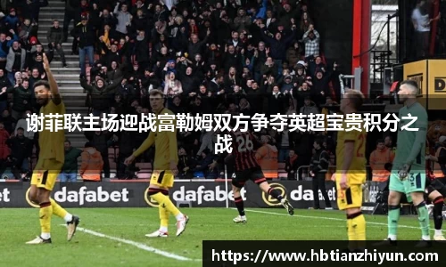 谢菲联主场迎战富勒姆双方争夺英超宝贵积分之战